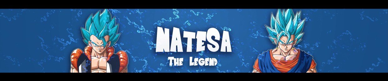 NateSA The (NateSAG0d)