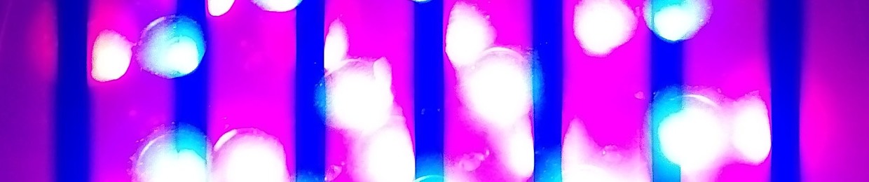 sambo_