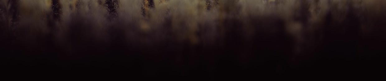 cortical_resonance