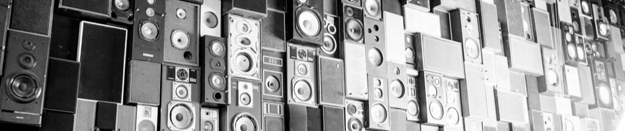 BassXLjunkie