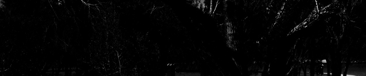 VVITCH///CASTLE