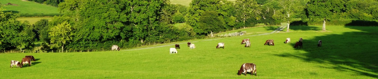 Oxford Real Farming Conference