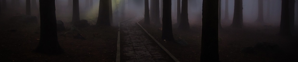 Into The Portal