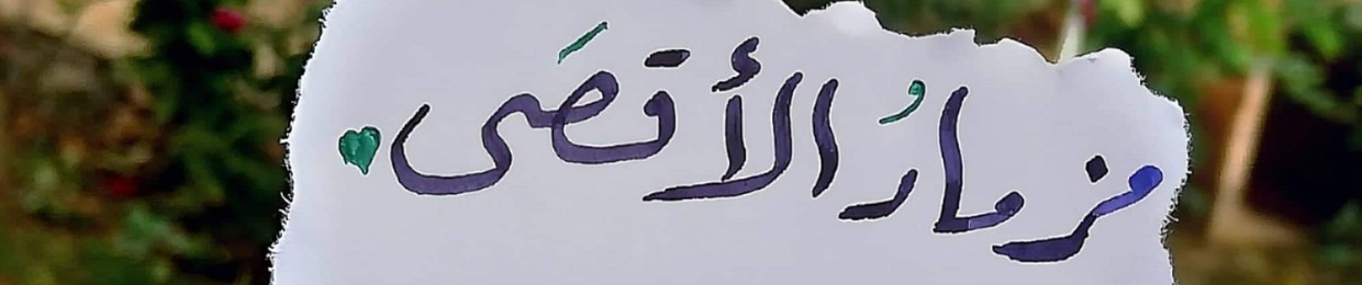 mohammad alami
