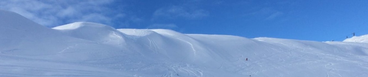 ”Om man bara kunde göra som jag säger”