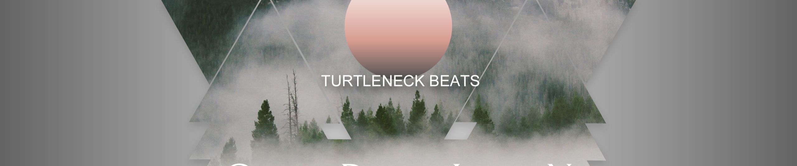 SoundCloud banner for @turtleneck