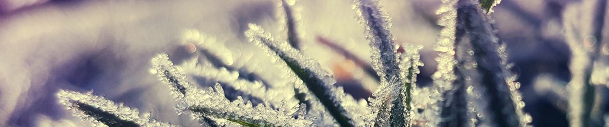 Мира Иванова