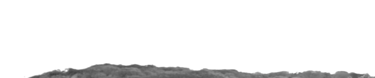 Blană