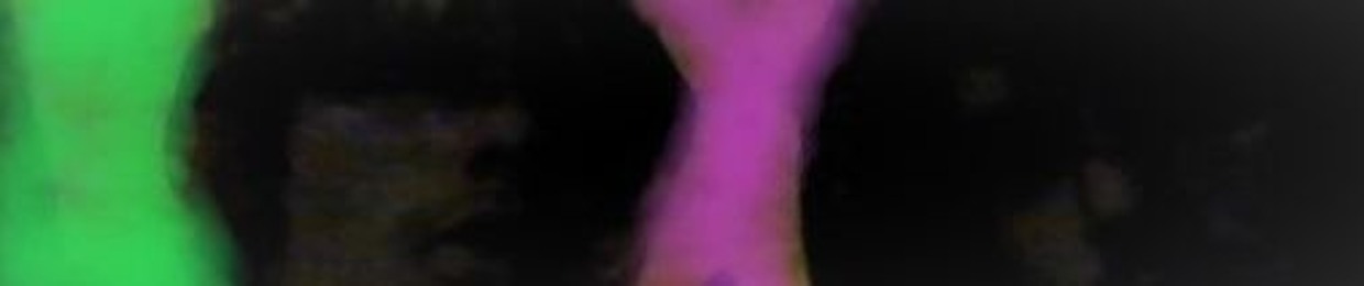 FALCONS OF THE MILLENIUM