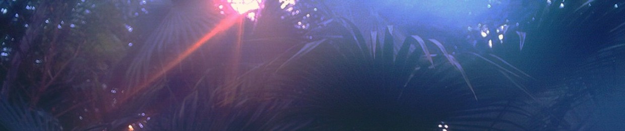 L V S H