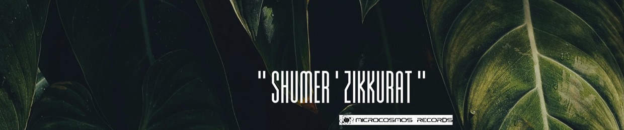 Shumer'Zikkurat™ a.k.a. Артемий'Dell
