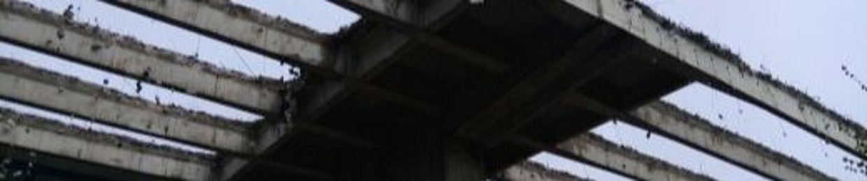skyankaly