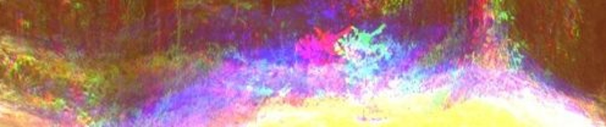 ✚.·ṧ₵ΛЯⱤΛᵴỵn·.✚ ✪