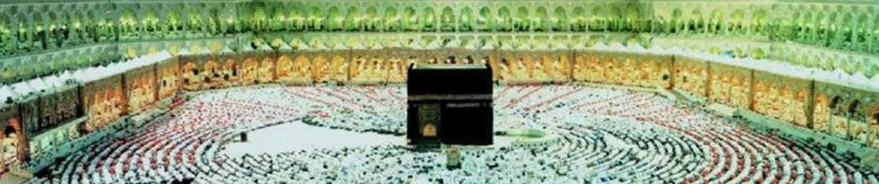 Mahmoud ElGouhary7