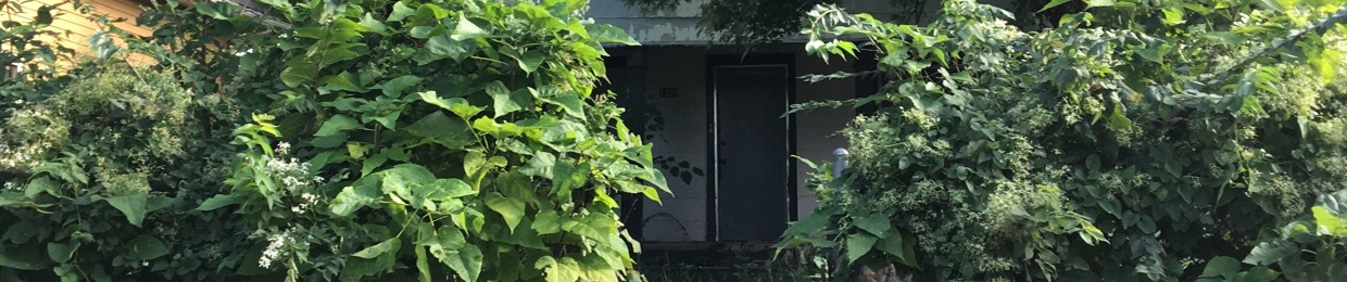 Teno
