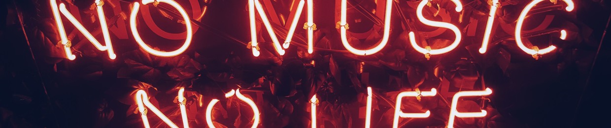 No Music - No Life