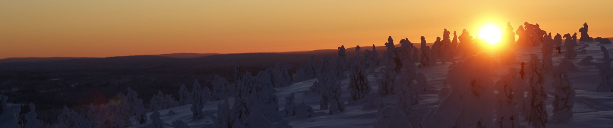 Mehu Maija Mehiläinen