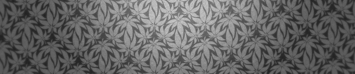 👽 The Stoner Station 👽