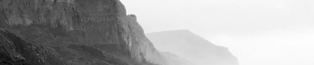 Rafi Arkin Songwriter