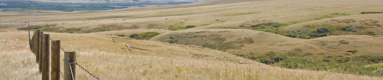 Alberta Land Institute