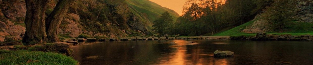 Sriram Parthasarathy