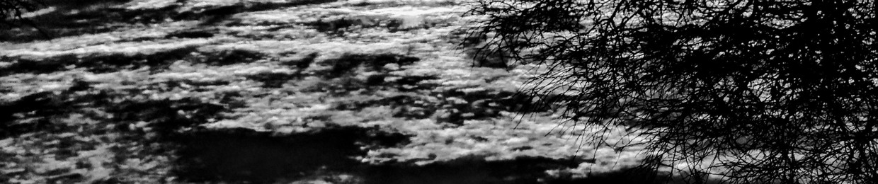 James Kidd Van City Boy