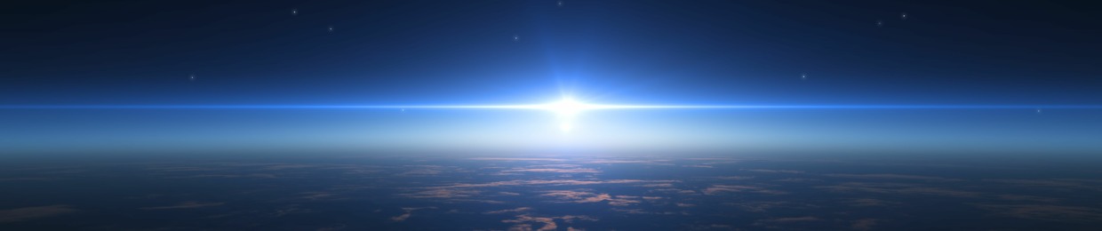 Spider Language Over Lunch