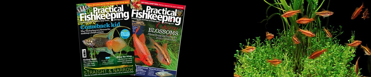 PracticalFishkeepingMag