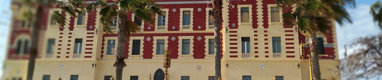 Mohammad ElNaggar