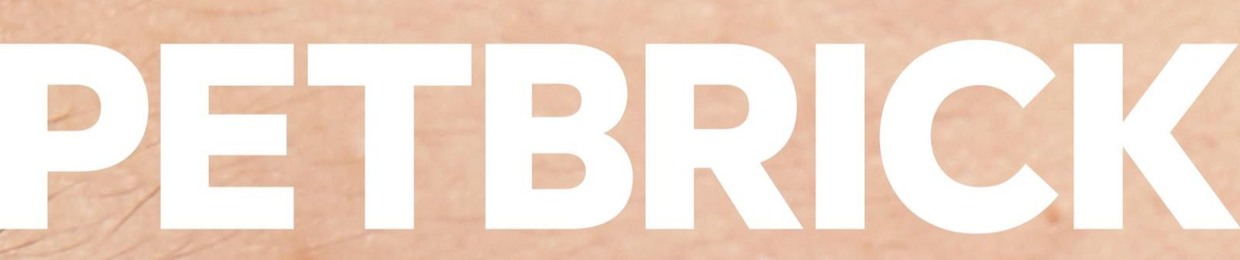 PETBRICK