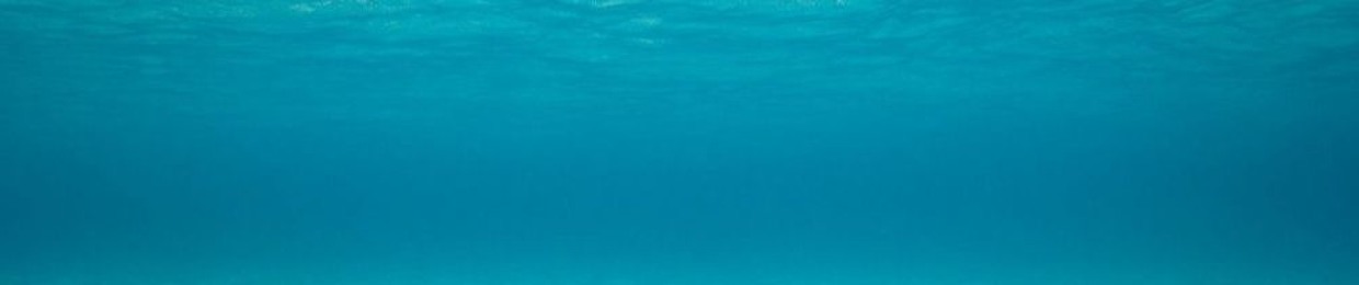 Swimmers