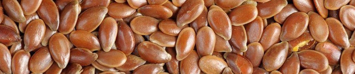Seeds