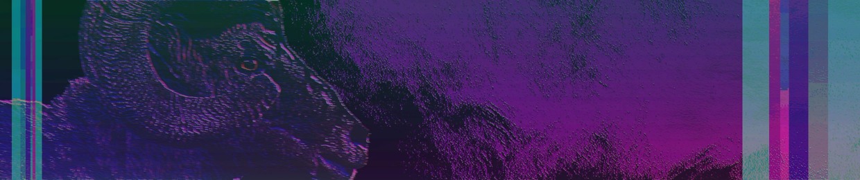 SphiteDub