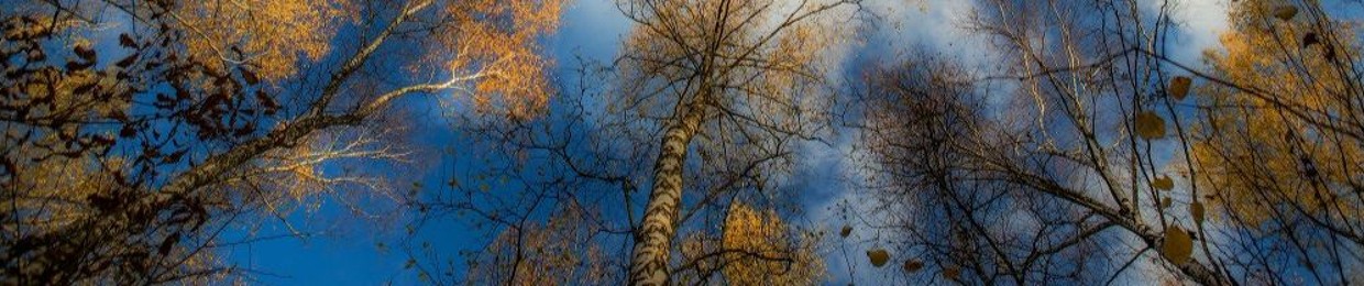 alina.serge