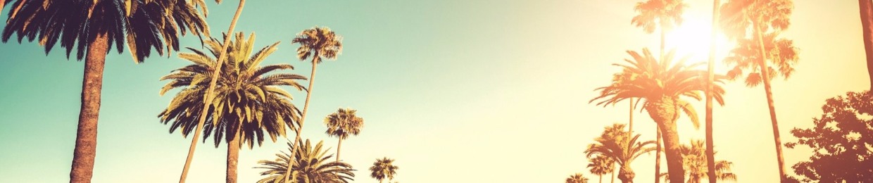 Product Optimization 4.0