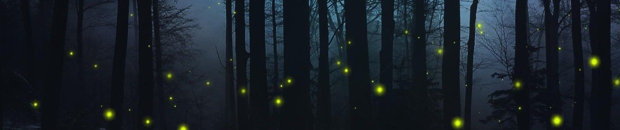▶️ FIREFLY ™ ✨