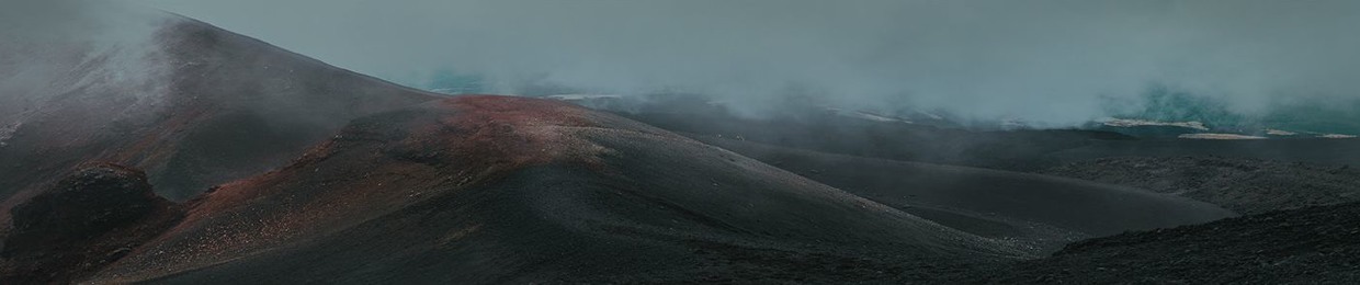Roman Sergeevich