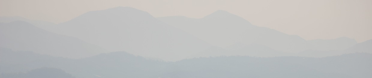 Руслан Дашинский