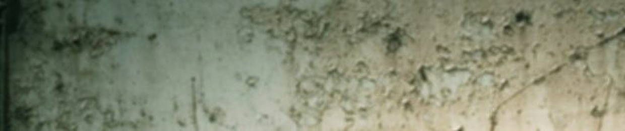norinkotuciex