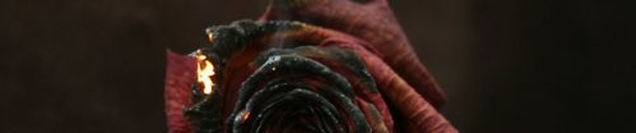 YN