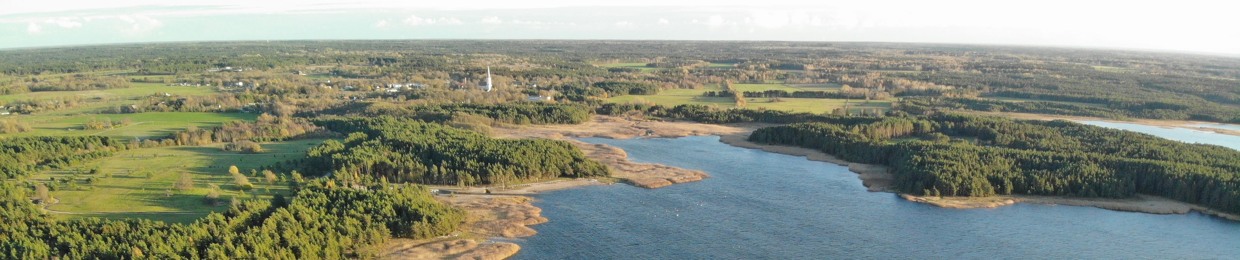 Kotkas