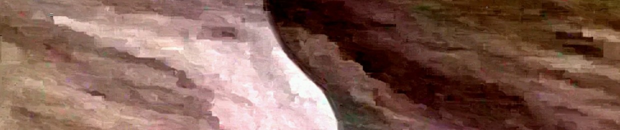 DANSER