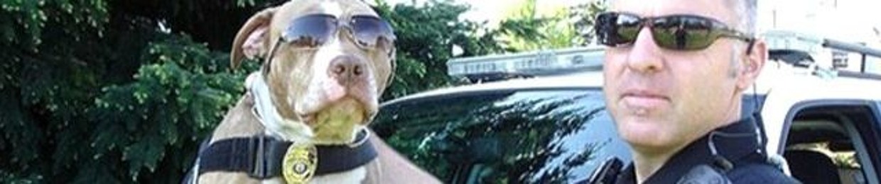 Amercian Pit Bull Terrier Association