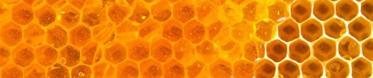 Pure Honey