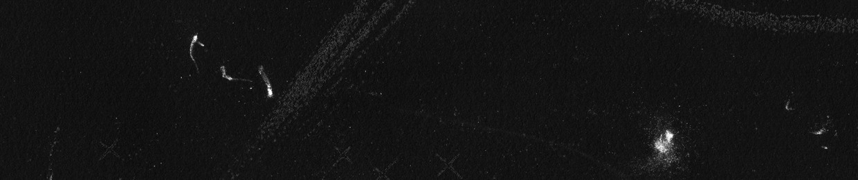 zxcxv