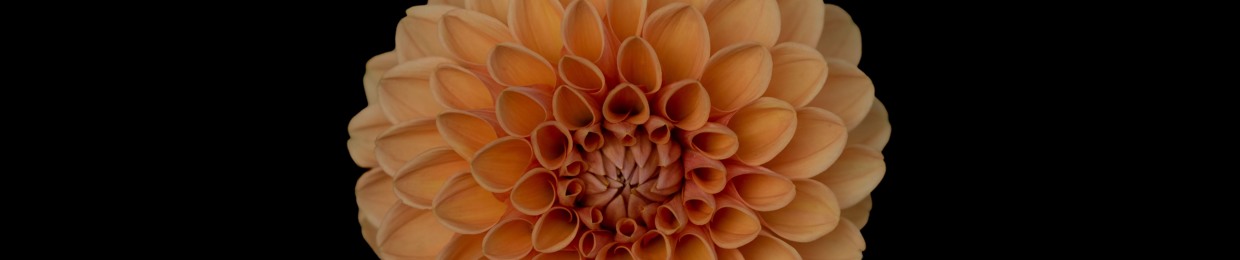 NIGHT RUNNER | Music Management