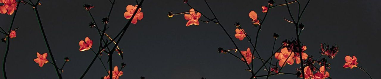 Silent Siren Soukai Rock 爽快ロック By Goku