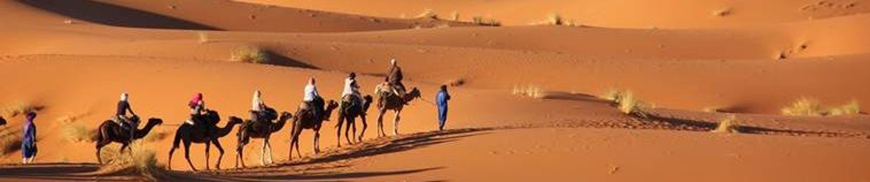 يونوت دانيل
