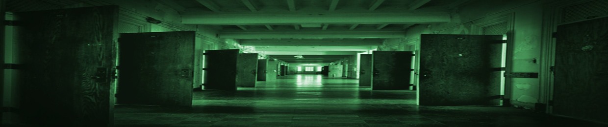 Demon Insane Asylum