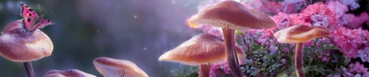 ShroomLust